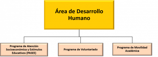 Organigrama ADH