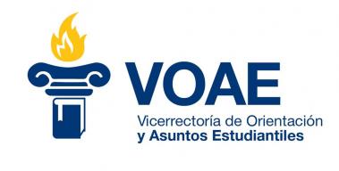 Logo oficial VOAE